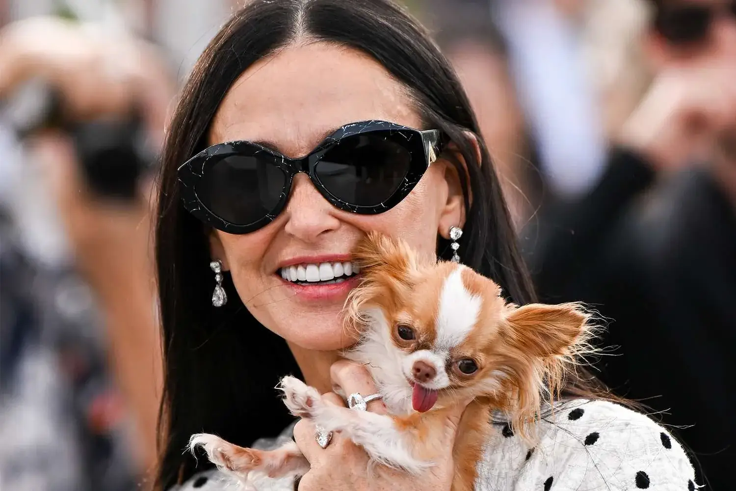 Pilaf, Demi Moore's tiny Chihuahua, was 'moved' by Tom Holland's performance in Romeo & Juliet Illustrations