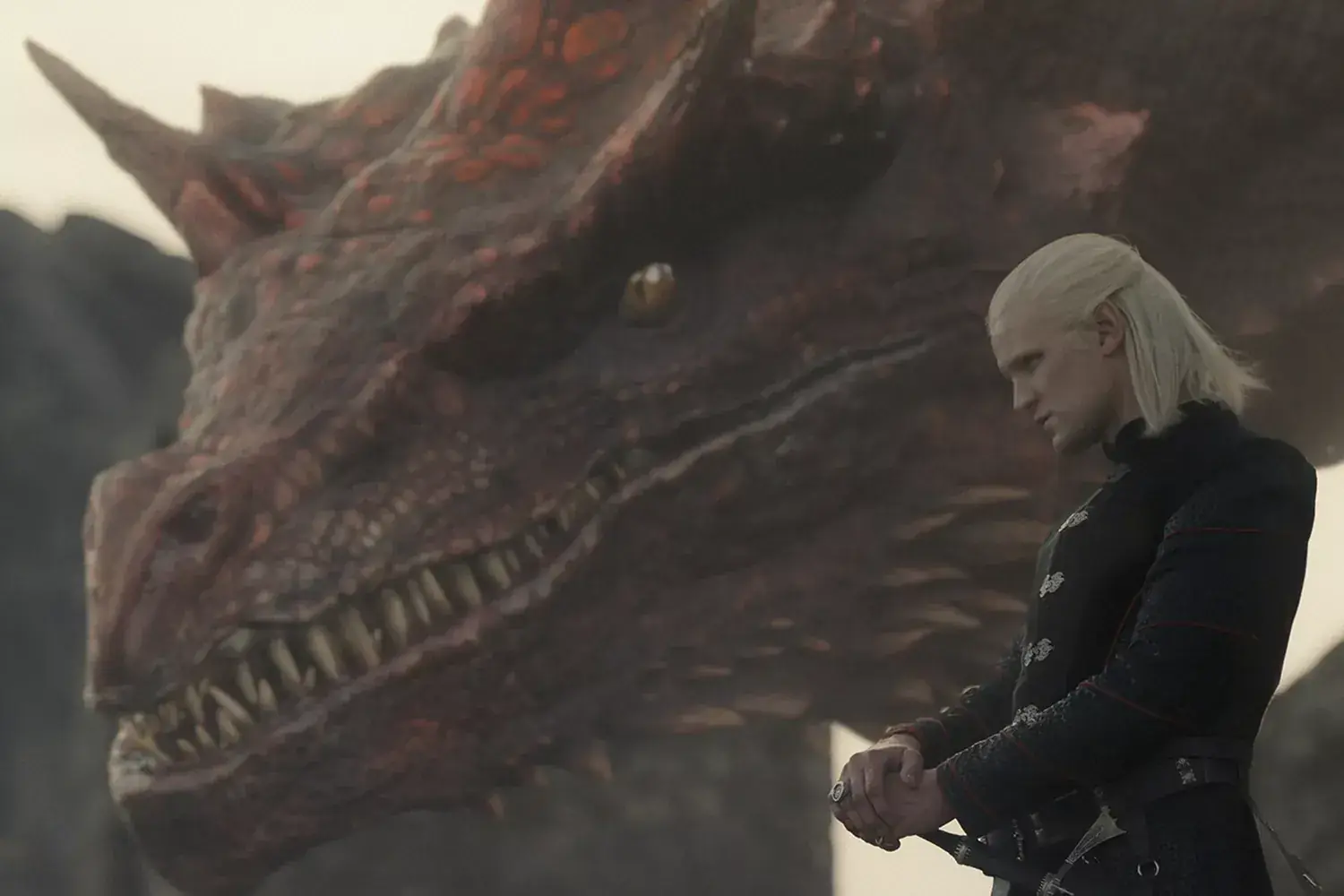 It really seems like a Game of Thrones Aegon's Conquest spinoff is in the cards Related images #4