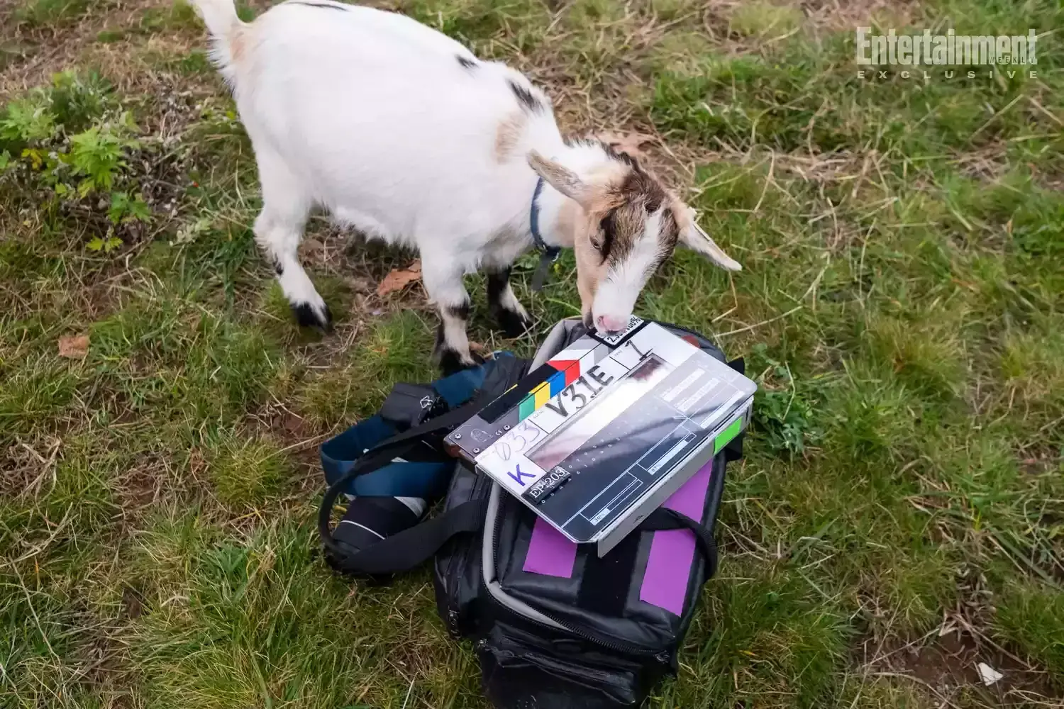 Gwendoline Christie breaks down that 'bizarre' and 'terrifying' Severance goat reveal (exclusive) Related images #34