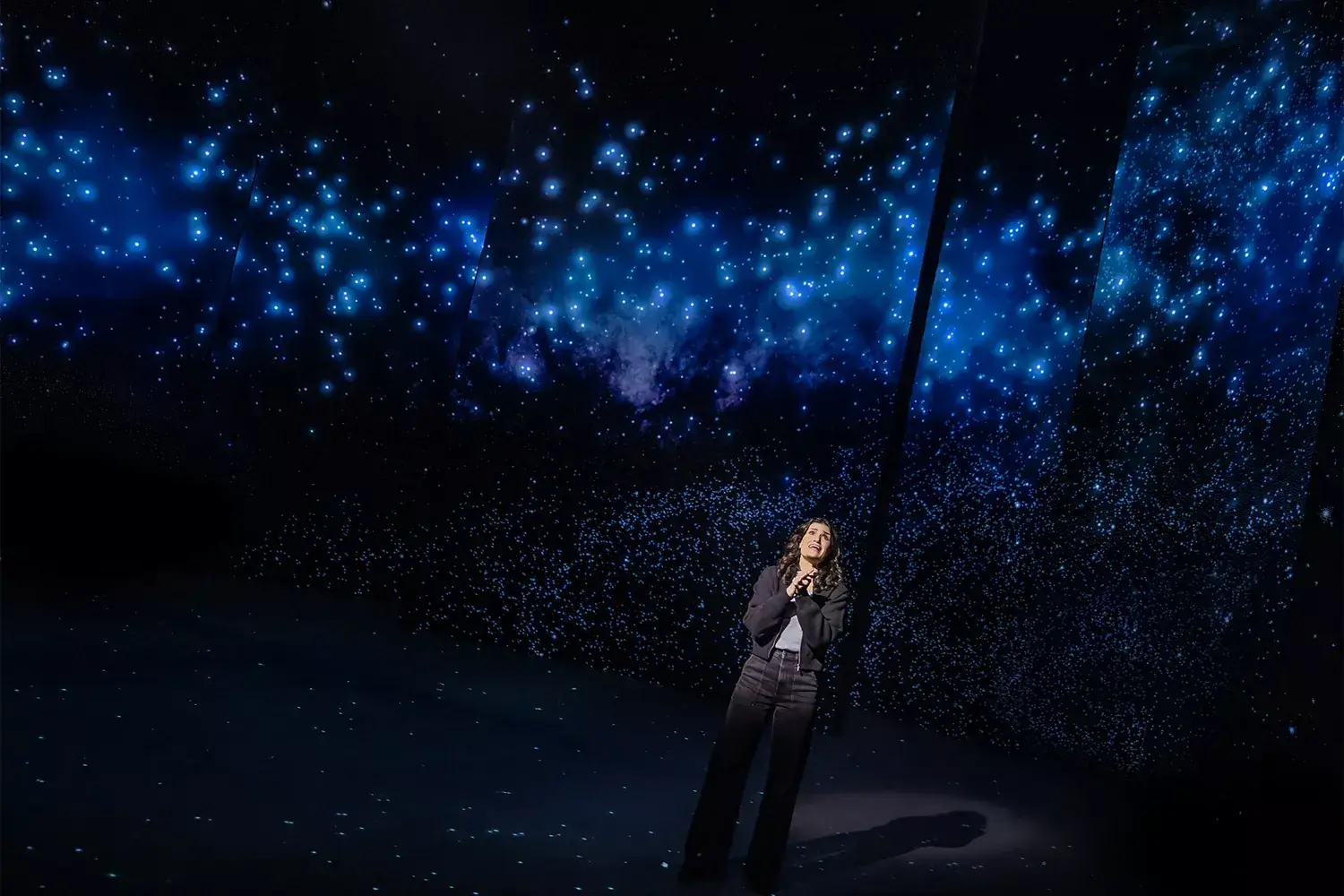 Redwood review: Idina Menzel doesn't reach new heights, but soars all the same in emotional Broadway return Related images #11