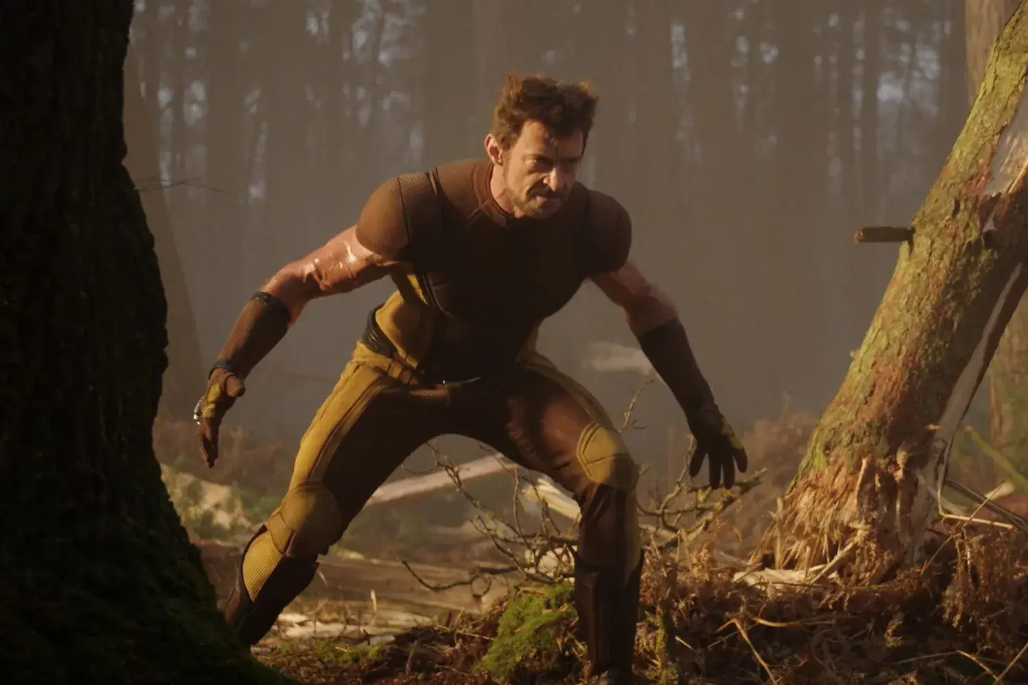 Deadpool & Wolverine heads to digital, Blu-ray: Watch an exclusive clip of the Logan variants Illustrations