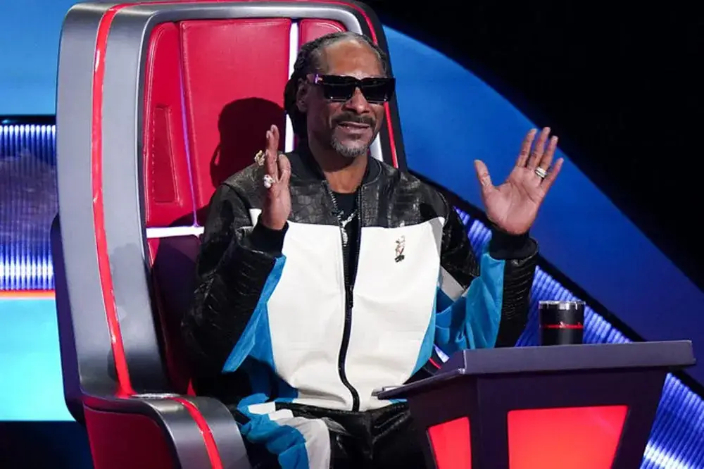 Snoop Dogg cuts The Voice contestant who sang 'one of the hardest songs you could ever give somebody to sing' Illustrations