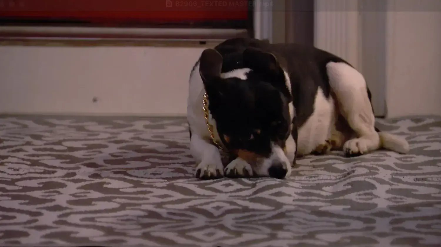 The Bachelor recap: One family is missing during hometowns Related images #11