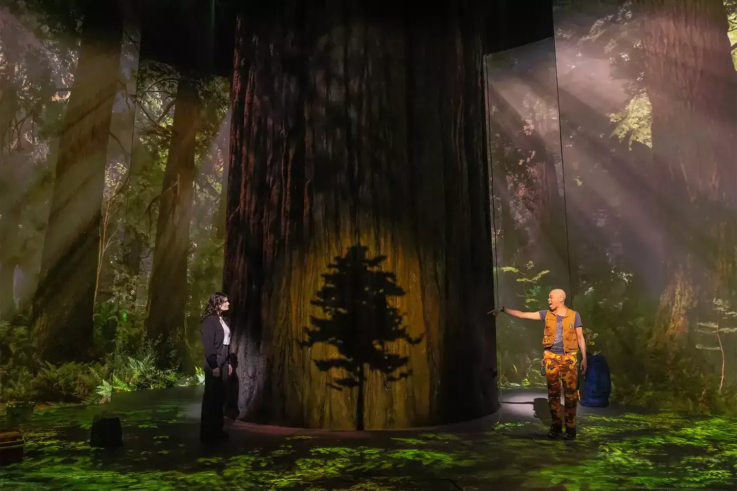 Redwood review: Idina Menzel doesn't reach new heights, but soars all the same in emotional Broadway return Related images #18