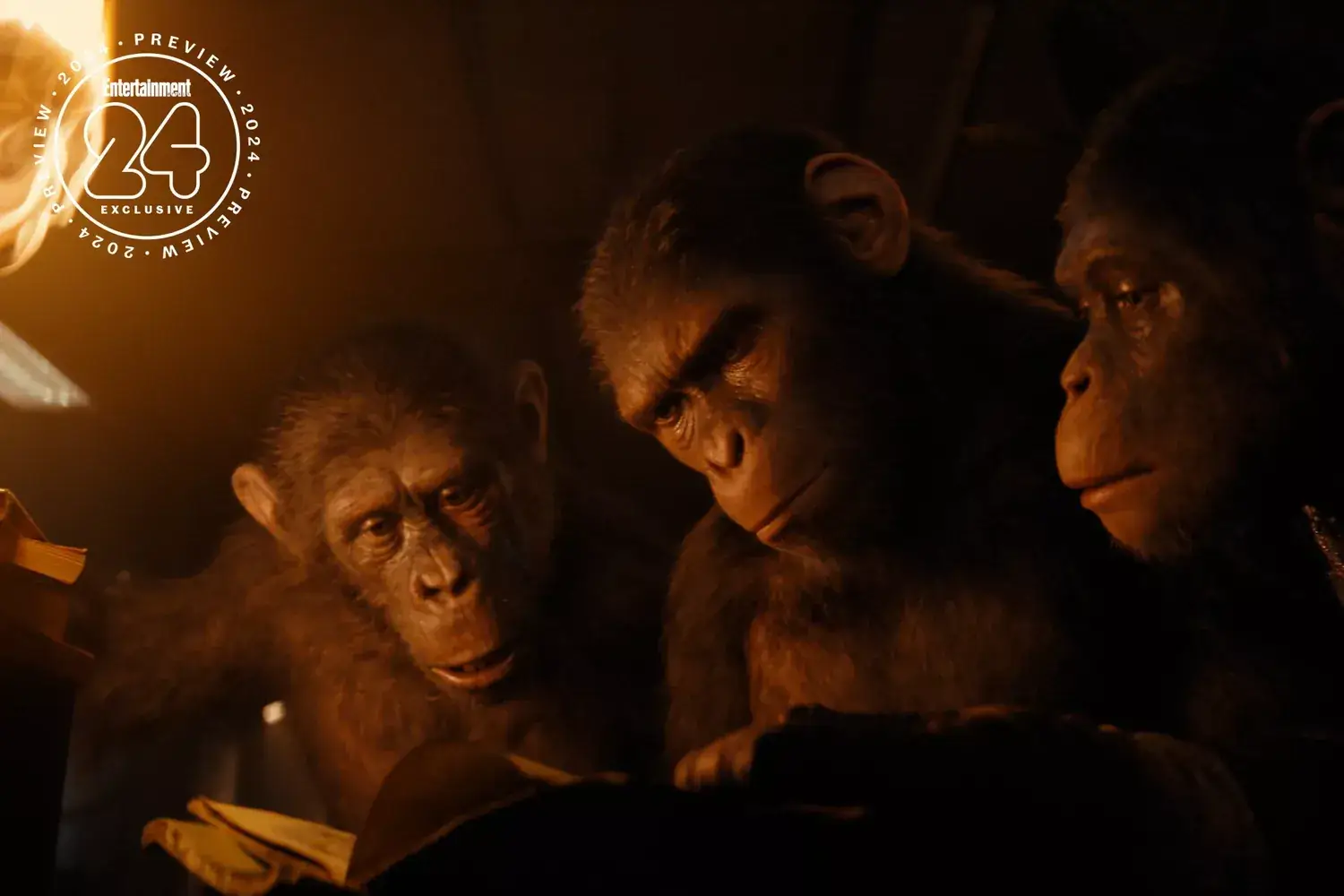 Planet of the Apes director sets the stage for Kingdom and 'a lot more story to be told' Related images #5
