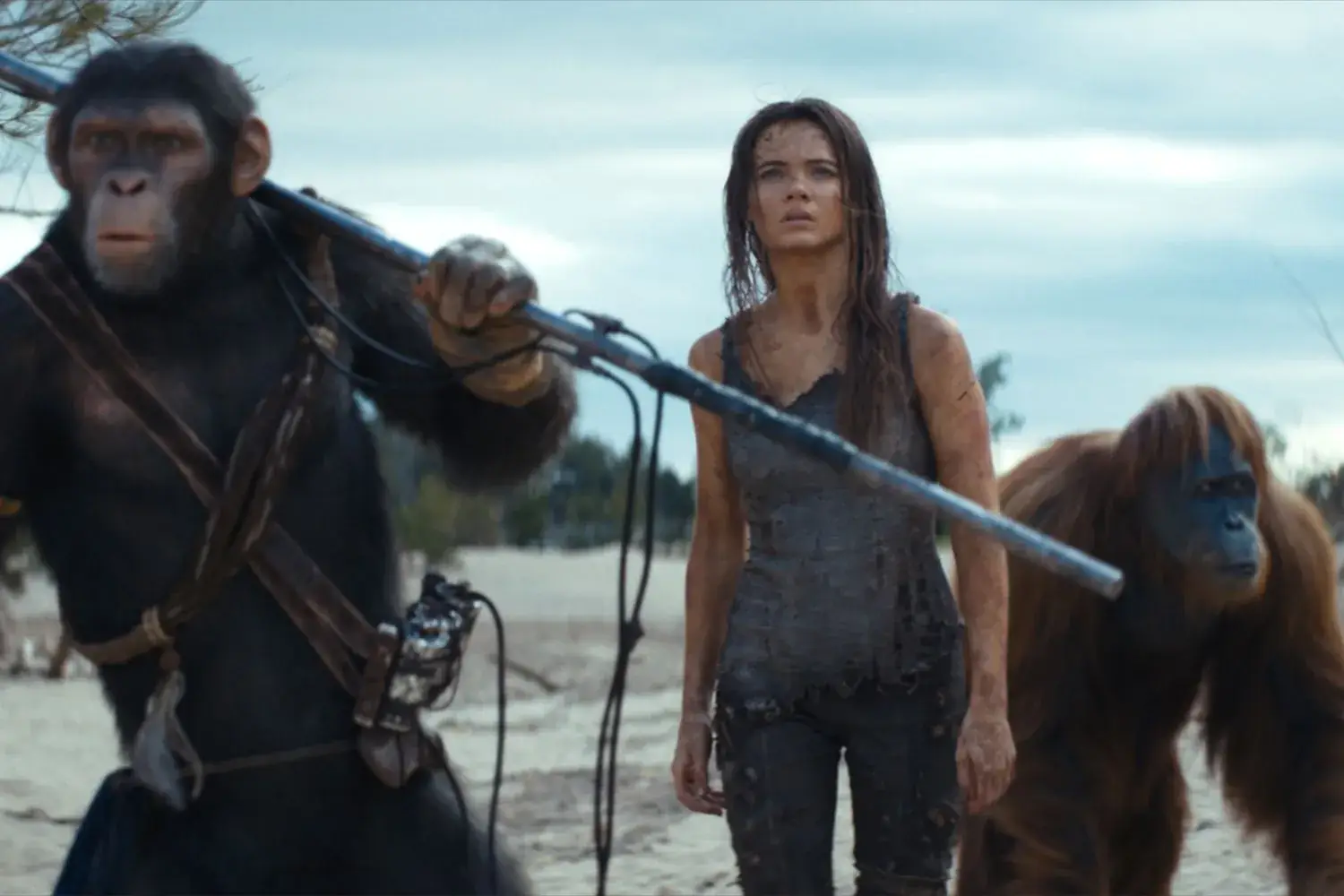 The lavish Kingdom of the Planet of the Apes introduces a new primate protagonist Illustrations