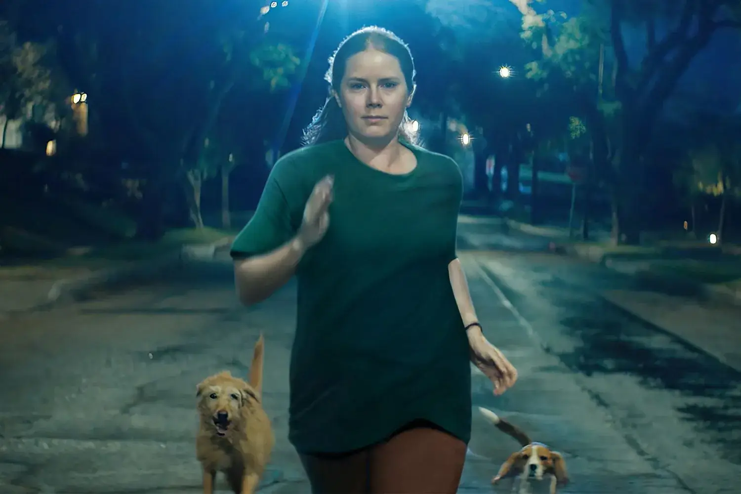 Amy Adams channels her rage — and transforms into a dog — in Nightbitch trailer Illustrations