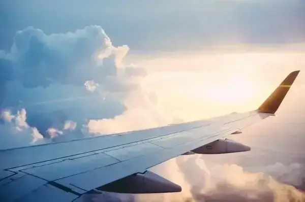 庭一面が血だらけに…飛行機から“降ってきた”男性が民家の庭に落下 「トラウマになりそう」「恐ろしい」など恐怖の声が続々 | リアルライブ イラスト