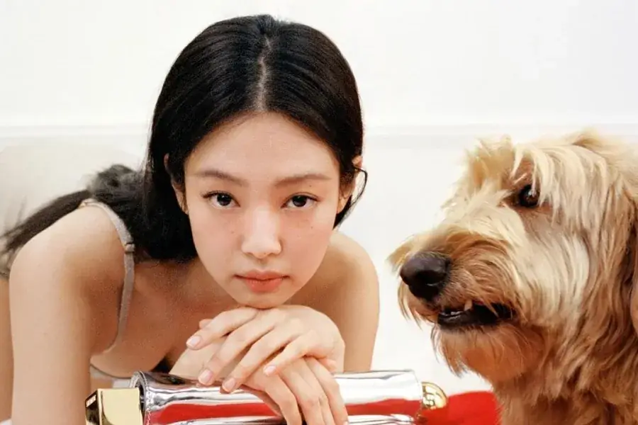 BLACKPINK's Jennie Officially Announces She Has Established Her Own Agency 그림